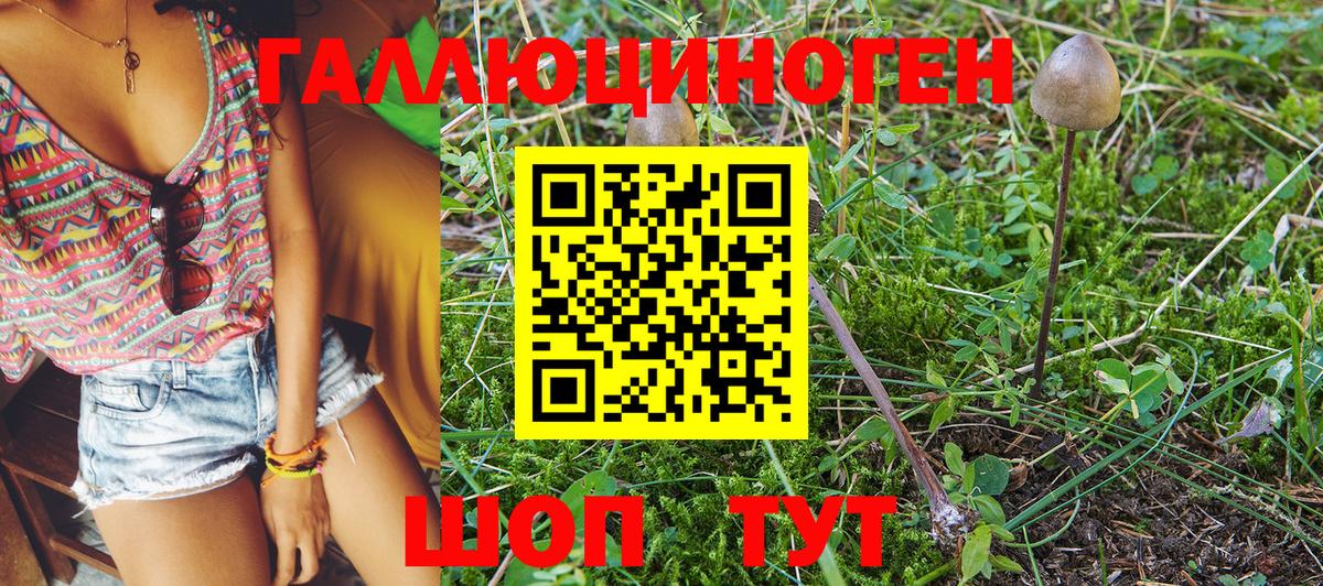 Псилоцибиновые грибы мухоморы Боровичи