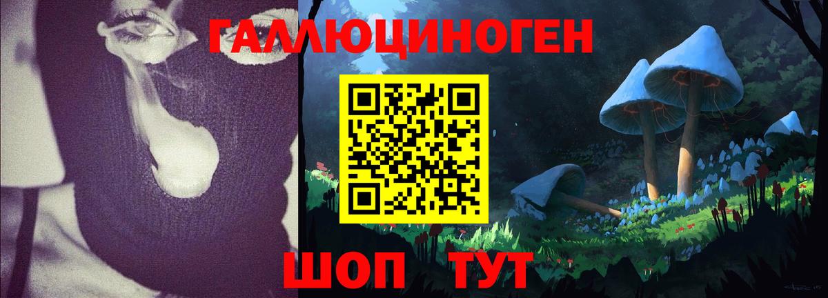 Псилоцибиновые грибы GOLDEN TEACHER  Вход с VPN  Псилоцибиновые грибы Cubensis  Боровичи 